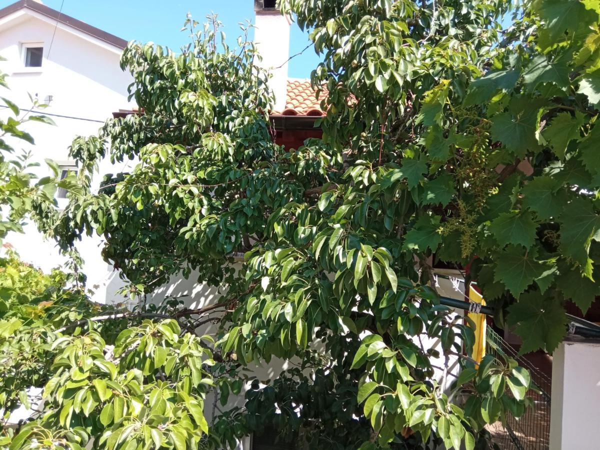 Apartments Antares Mali Lošinj Dış mekan fotoğraf