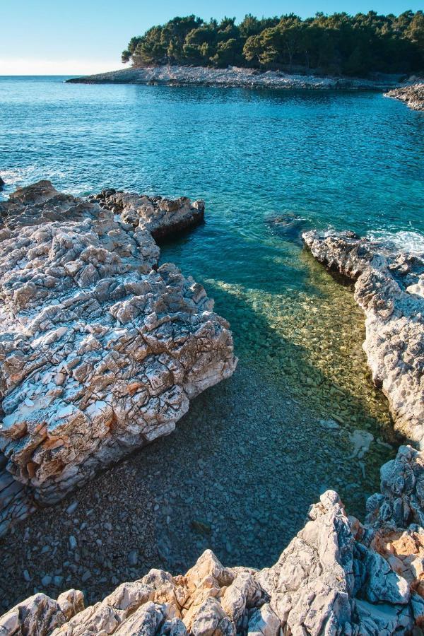 Apartments Antares Mali Lošinj Dış mekan fotoğraf