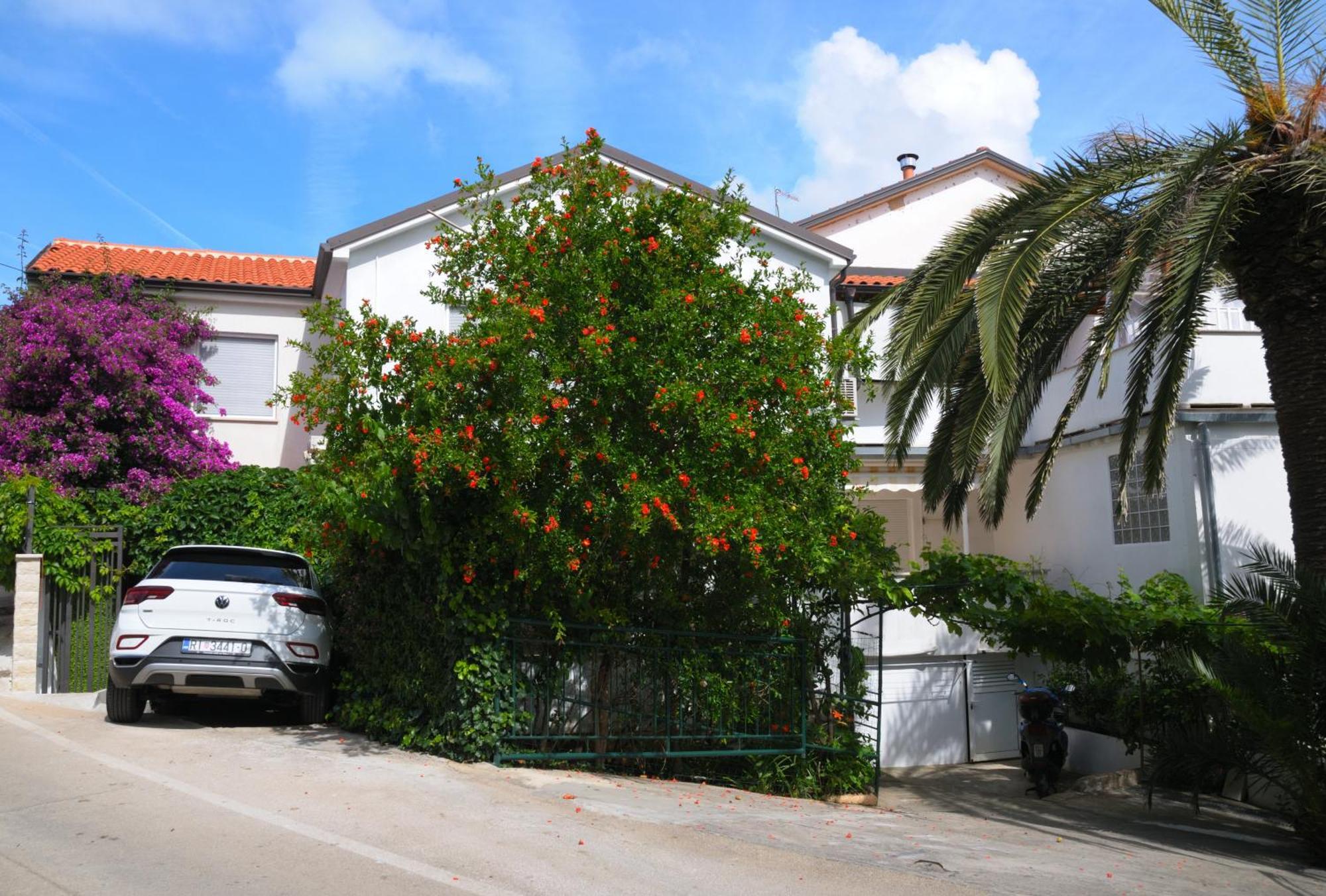 Apartments Antares Mali Lošinj Dış mekan fotoğraf