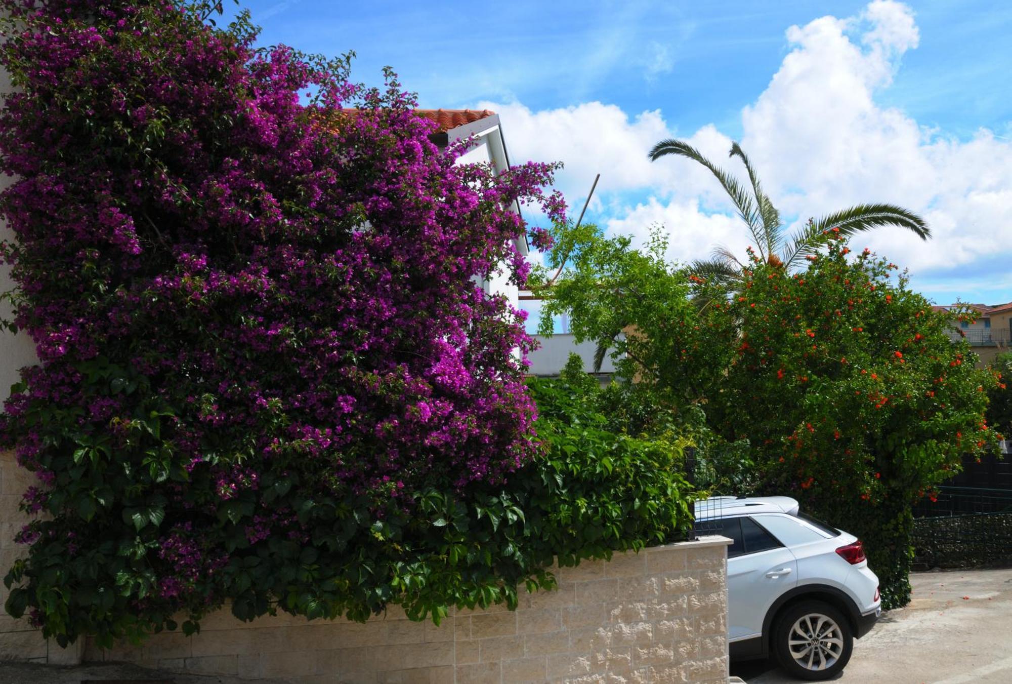 Apartments Antares Mali Lošinj Dış mekan fotoğraf